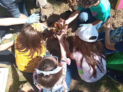 Riscatto sociale e rigenerazione urbana con Talking Flower 1