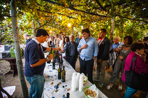 Jazz in vigna alla Tenuta Il Gruccione 1